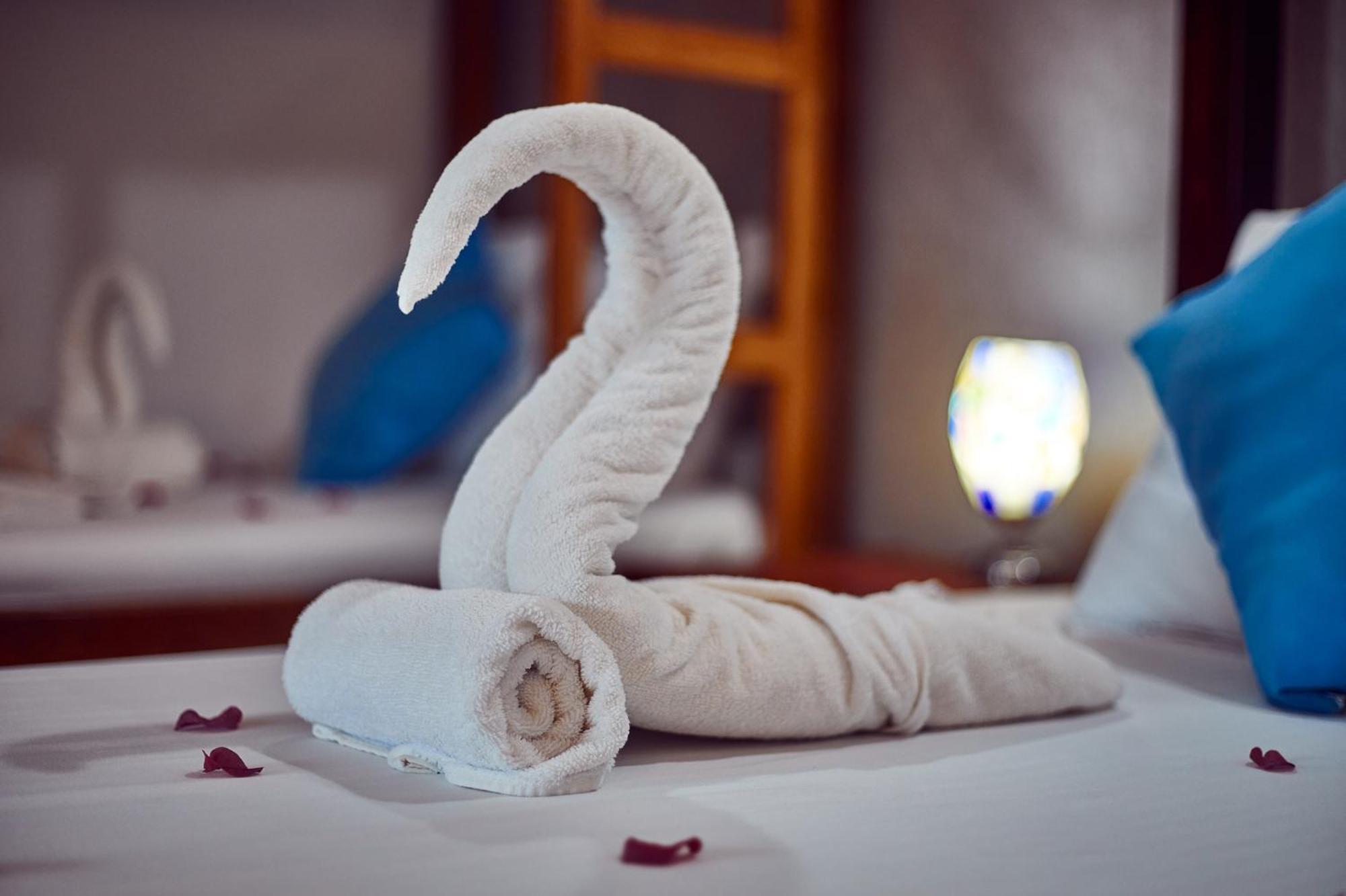 Michamvi Emerald Dreams Boutique Hotel מראה חיצוני תמונה